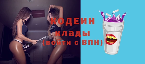 дмт Арсеньев